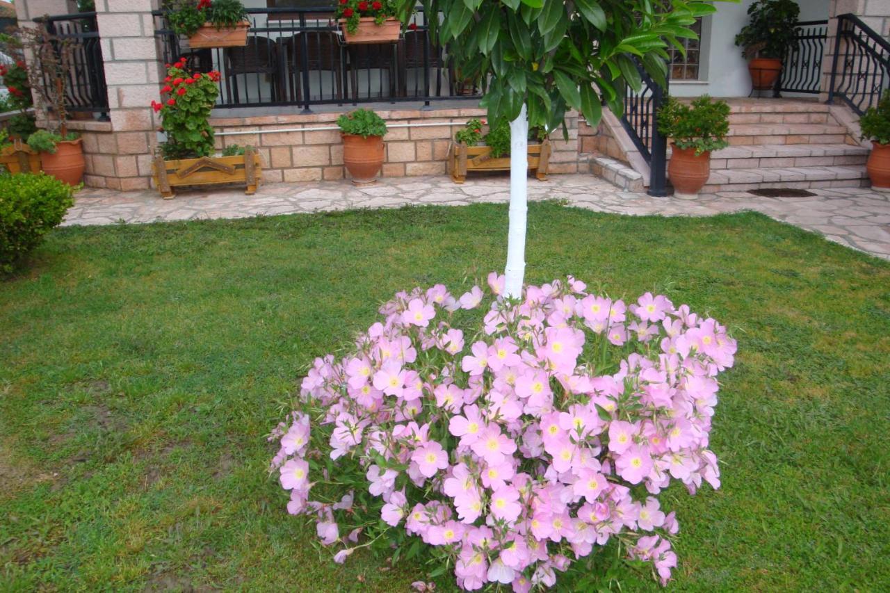 Apartment Simos